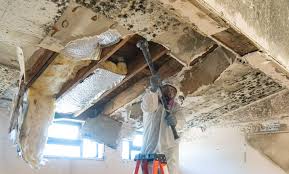 Best Real Estate Mold Inspection  in Sioux City, IA